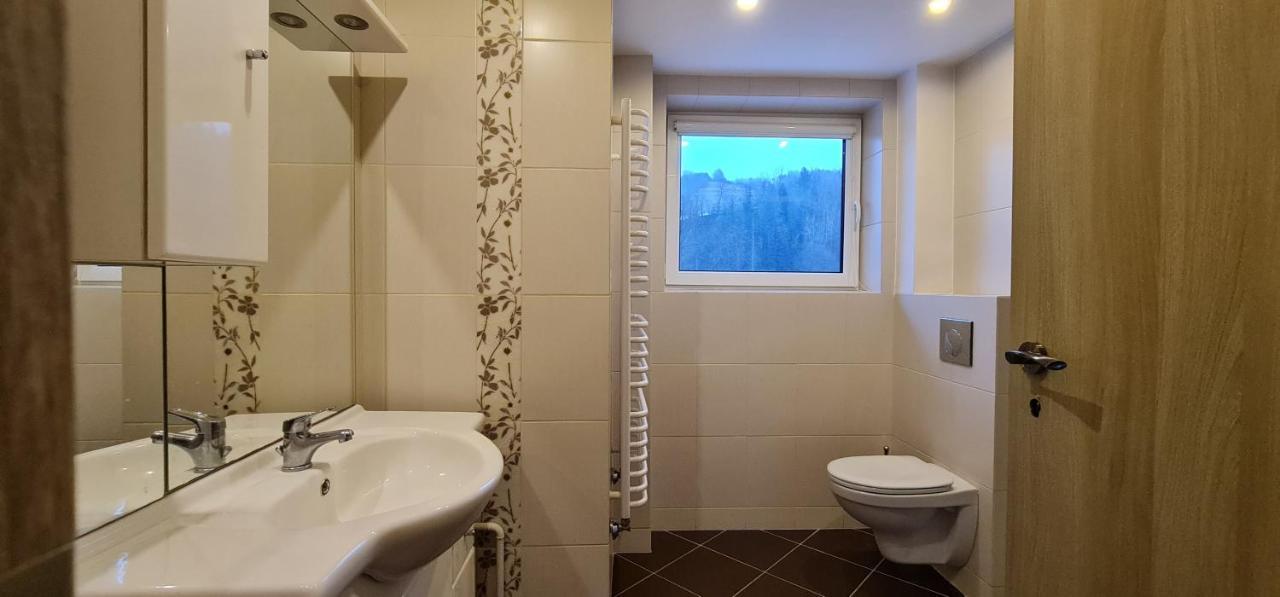 Szumia Plaziny Apartman Muszyna Kültér fotó